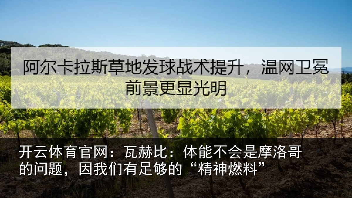开云体育官网：瓦赫相关情况哥的相关情况的“精神燃料”