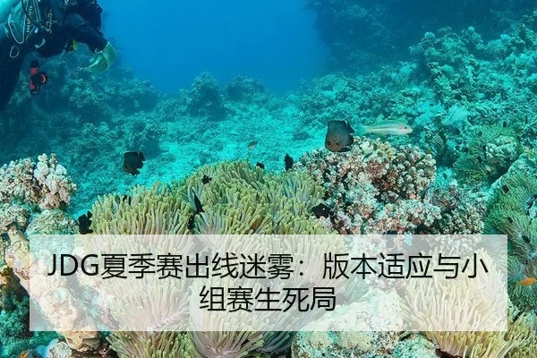 JDG夏季赛出线迷雾：版本适应与小组赛生死局