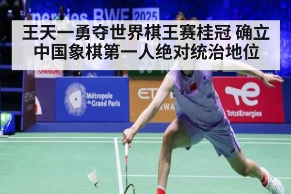 王天一勇夺世界棋王赛桂冠 确立中国象棋第一人绝对统治地位